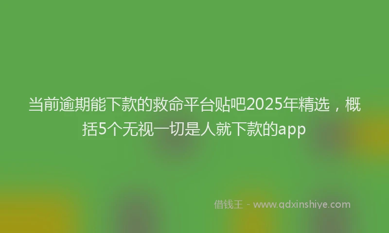 当前逾期能下款的救命平台贴吧2025年精选，概括5个无视一切是人就下款的app