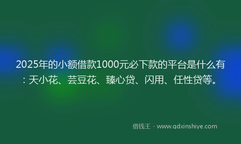 2025年的小额借款1000元必下款的平台是什么有：天小花、芸豆花、臻心贷、闪用、任性贷等。