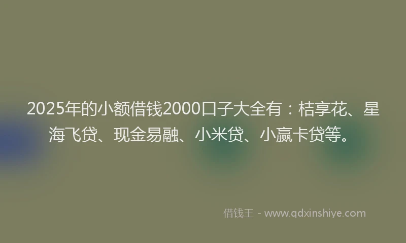 2025年的小额借钱2000口子大全有：桔享花、星海飞贷、现金易融、小米贷、小赢卡贷等。