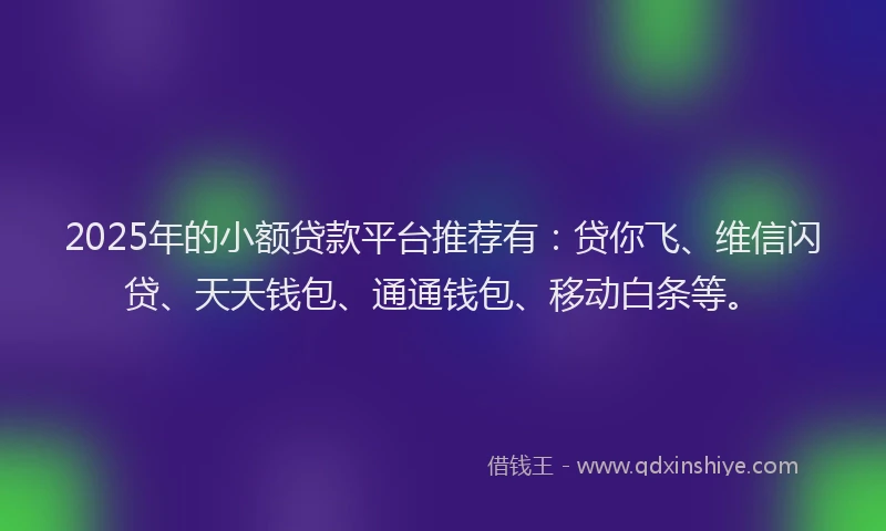 2025年的小额贷款平台推荐有：贷你飞、维信闪贷、天天钱包、通通钱包、移动白条等。