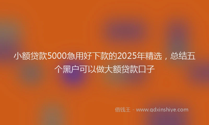 小额贷款5000急用好下款的2025年精选，总结五个黑户可以做大额贷款口子