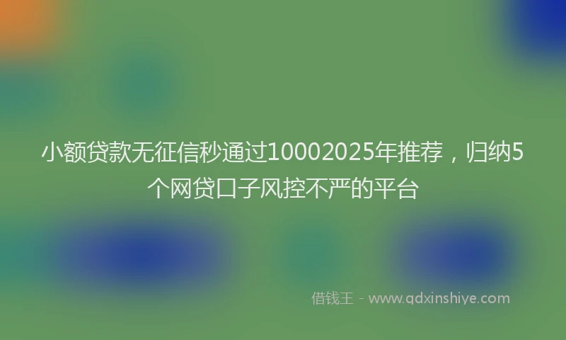 小额贷款无征信秒通过10002025年推荐，归纳5个网贷口子风控不严的平台