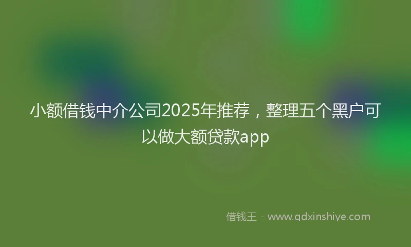 小额借钱中介公司2025年推荐，整理五个黑户可以做大额贷款app