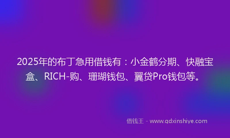 2025年的布丁急用借钱有：小金鹤分期、快融宝盒、RICH-购、珊瑚钱包、翼贷Pro钱包等。