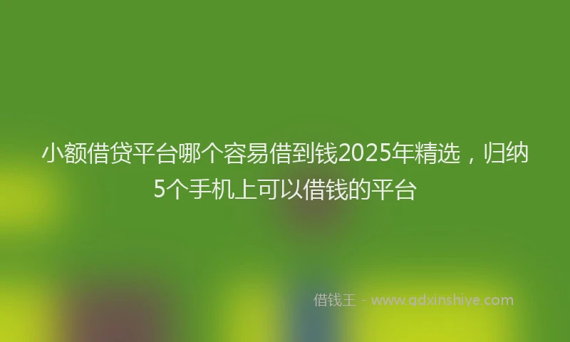 小额借贷平台哪个容易借到钱2025年精选，归纳5个手机上可以借钱的平台