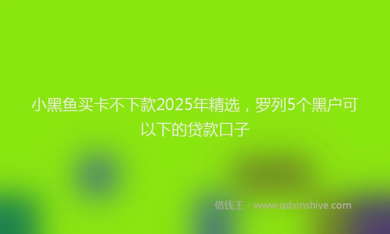 小黑鱼买卡不下款2025年精选，罗列5个黑户可以下的贷款口子