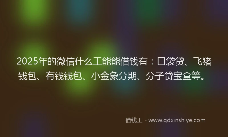 2025年的微信什么工能能借钱有：口袋贷、飞猪钱包、有钱钱包、小金象分期、分子贷宝盒等。