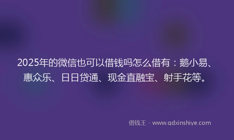 2025年的微信也可以借钱吗怎么借有：鹅小易、惠众乐、日日贷通、现金直融宝、射手花等。
