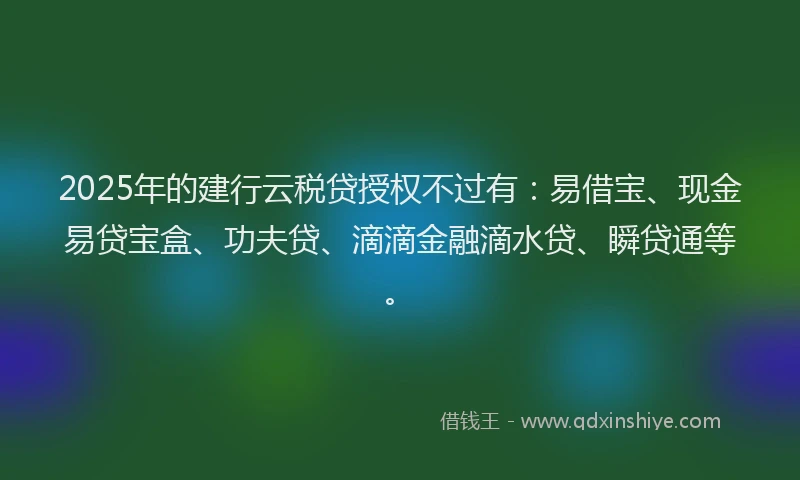 2025年的建行云税贷授权不过有：易借宝、现金易贷宝盒、功夫贷、滴滴金融滴水贷、瞬贷通等。