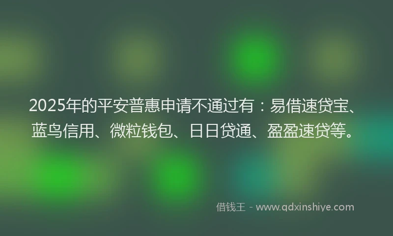 2025年的平安普惠申请不通过有：易借速贷宝、蓝鸟信用、微粒钱包、日日贷通、盈盈速贷等。