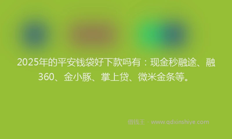 2025年的平安钱袋好下款吗有：现金秒融途、融360、金小豚、掌上贷、微米金条等。