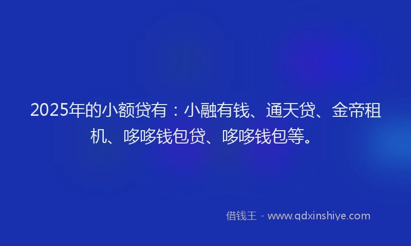 2025年的小额贷有：小融有钱、通天贷、金帝租机、哆哆钱包贷、哆哆钱包等。