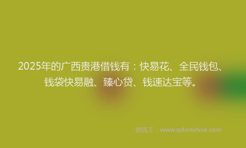 2025年的广西贵港借钱有：快易花、全民钱包、钱袋快易融、臻心贷、钱速达宝等。