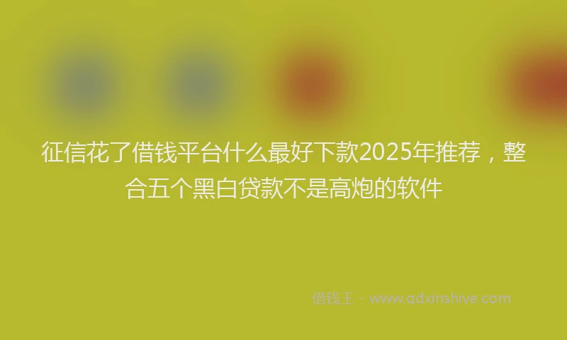 征信花了借钱平台什么最好下款2025年推荐，整合五个黑白贷款不是高炮的软件