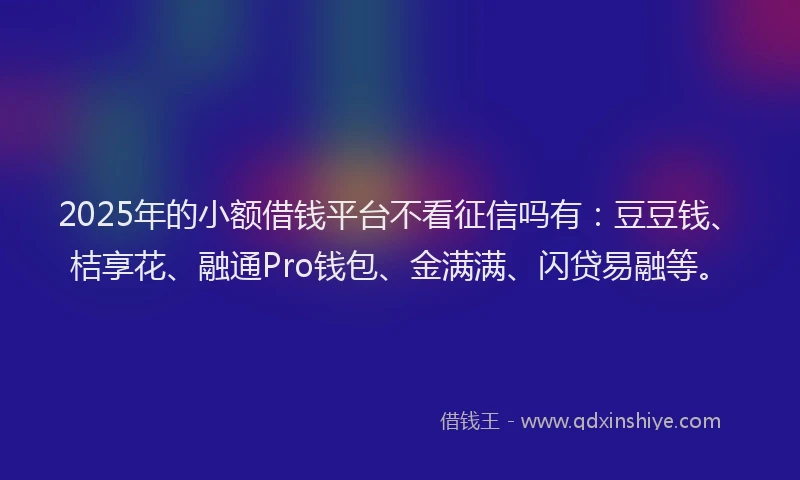 2025年的小额借钱平台不看征信吗有：豆豆钱、桔享花、融通Pro钱包、金满满、闪贷易融等。