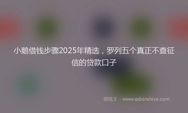 小鹅借钱步骤2025年精选，罗列五个真正不查征信的贷款口子