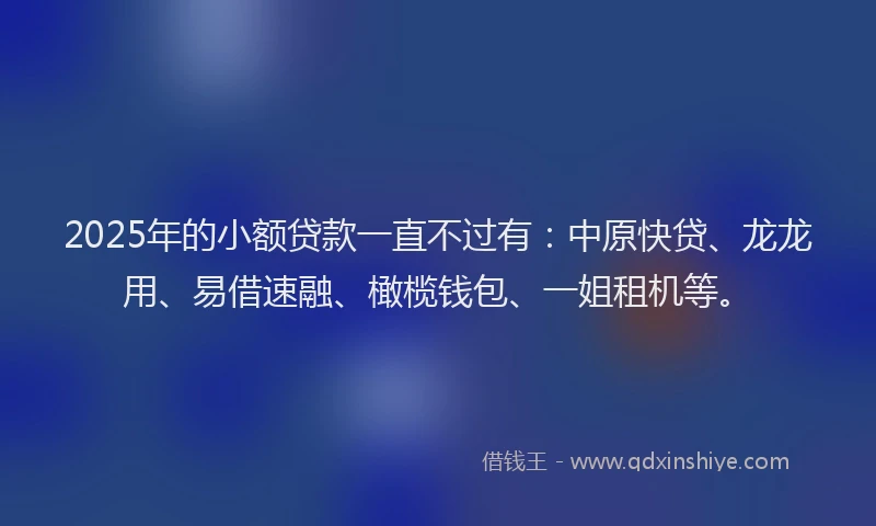 2025年的小额贷款一直不过有：中原快贷、龙龙用、易借速融、橄榄钱包、一姐租机等。