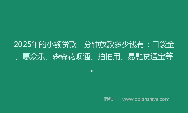 2025年的小额贷款一分钟放款多少钱有：口袋金、惠众乐、森森花呗通、拍拍用、易融贷通宝等。