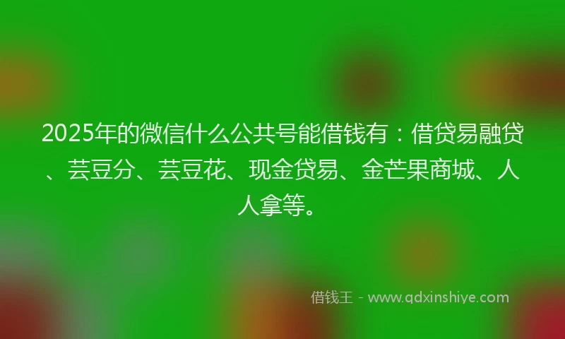 2025年的微信什么公共号能借钱有：借贷易融贷、芸豆分、芸豆花、现金贷易、金芒果商城、人人拿等。