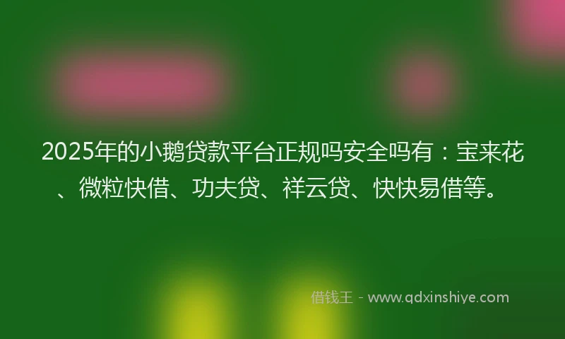 2025年的小鹅贷款平台正规吗安全吗有：宝来花、微粒快借、功夫贷、祥云贷、快快易借等。