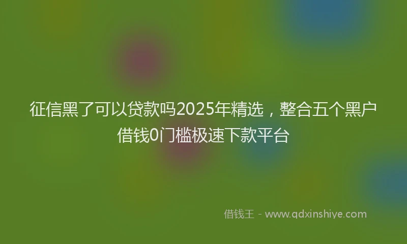 征信黑了可以贷款吗2025年精选，整合五个黑户借钱0门槛极速下款平台