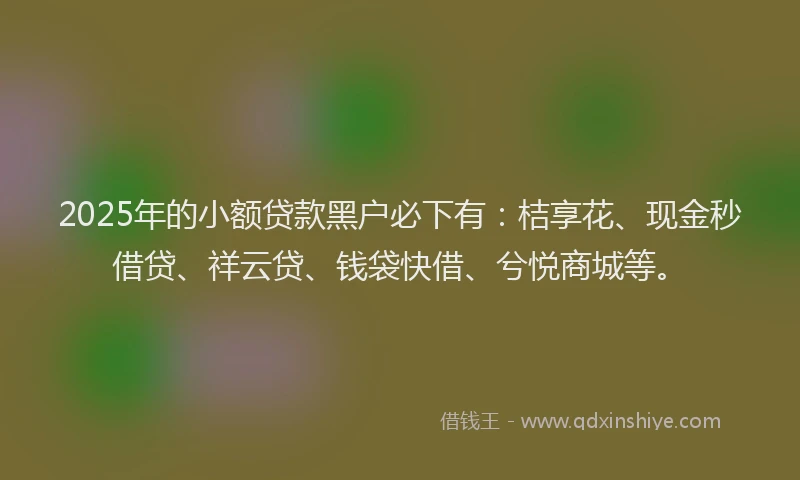 2025年的小额贷款黑户必下有：桔享花、现金秒借贷、祥云贷、钱袋快借、兮悦商城等。