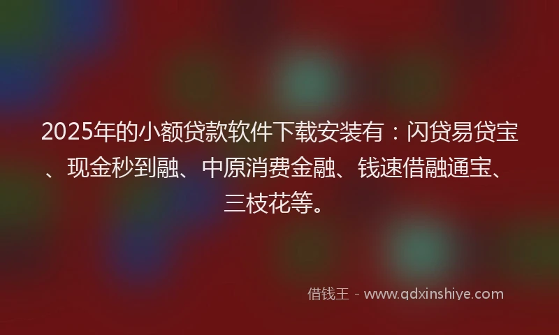 2025年的小额贷款软件下载安装有：闪贷易贷宝、现金秒到融、中原消费金融、钱速借融通宝、三枝花等。