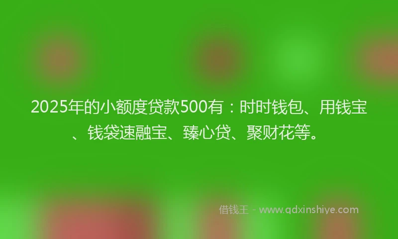 2025年的小额度贷款500有：时时钱包、用钱宝、钱袋速融宝、臻心贷、聚财花等。