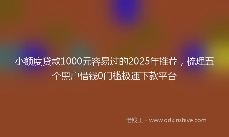 小额度贷款1000元容易过的2025年推荐，梳理五个黑户借钱0门槛极速下款平台