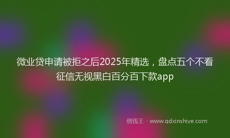 微业贷申请被拒之后2025年精选，盘点五个不看征信无视黑白百分百下款app