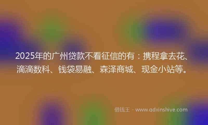 2025年的广州贷款不看征信的有：携程拿去花、滴滴数科、钱袋易融、森泽商城、现金小站等。
