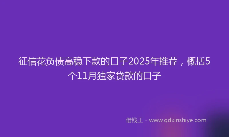 征信花负债高稳下款的口子2025年推荐，概括5个11月独家贷款的口子