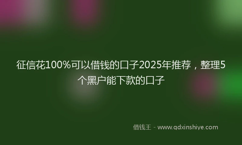 征信花100%可以借钱的口子2025年推荐，整理5个黑户能下款的口子
