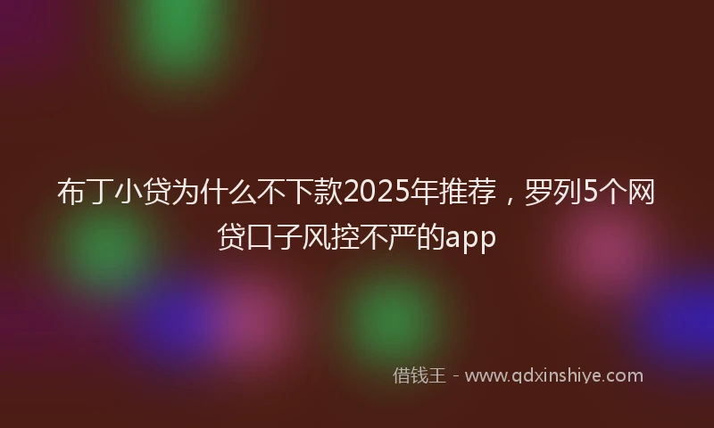 布丁小贷为什么不下款2025年推荐，罗列5个网贷口子风控不严的app