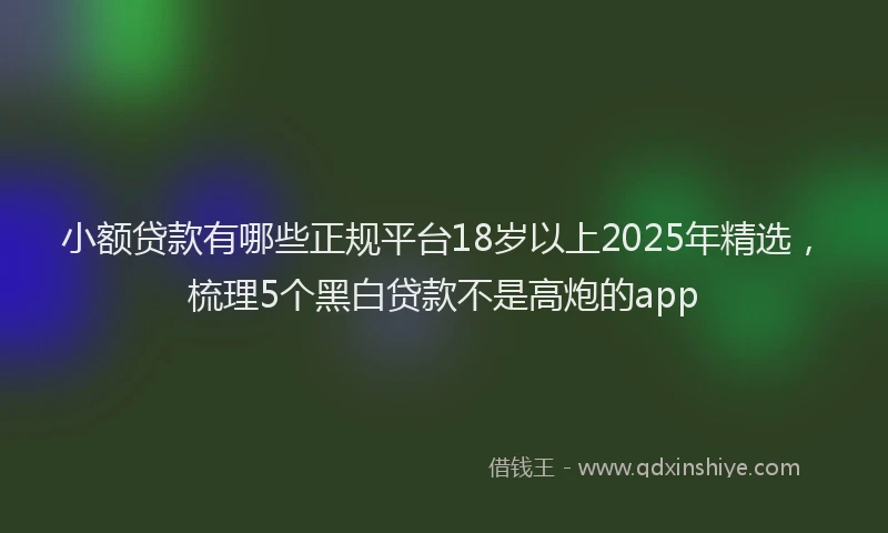 小额贷款有哪些正规平台18岁以上2025年精选，梳理5个黑白贷款不是高炮的app