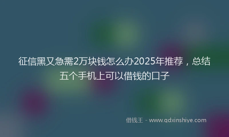 征信黑又急需2万块钱怎么办2025年推荐，总结五个手机上可以借钱的口子