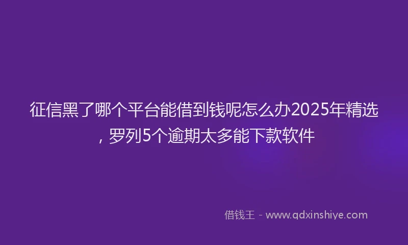 征信黑了哪个平台能借到钱呢怎么办2025年精选，罗列5个逾期太多能下款软件