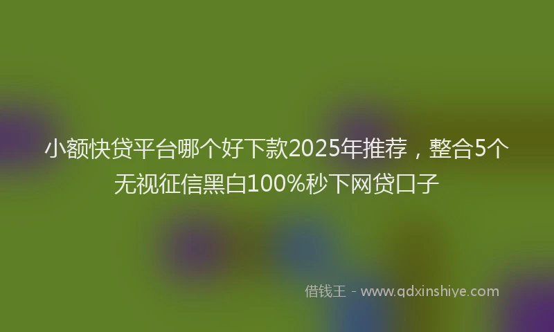 小额快贷平台哪个好下款2025年推荐，整合5个无视征信黑白100%秒下网贷口子