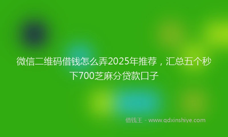 微信二维码借钱怎么弄2025年推荐，汇总五个秒下700芝麻分贷款口子