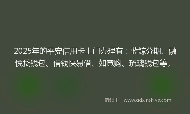 2025年的平安信用卡上门办理有：蓝鲸分期、融悦贷钱包、借钱快易借、如意购、琉璃钱包等。