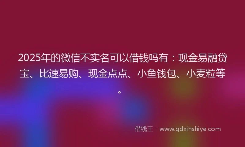 2025年的微信不实名可以借钱吗有：现金易融贷宝、比速易购、现金点点、小鱼钱包、小麦粒等。