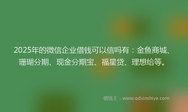 2025年的微信企业借钱可以信吗有：金鱼商城、珊瑚分期、现金分期宝、福星贷、理想给等。