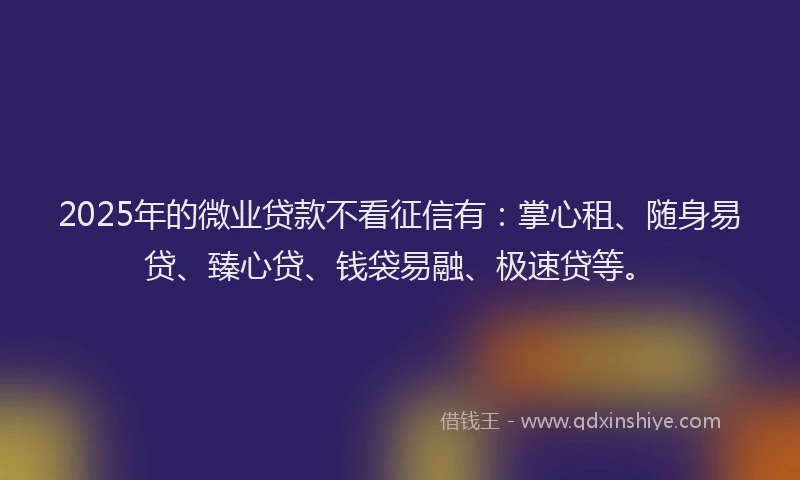 2025年的微业贷款不看征信有：掌心租、随身易贷、臻心贷、钱袋易融、极速贷等。
