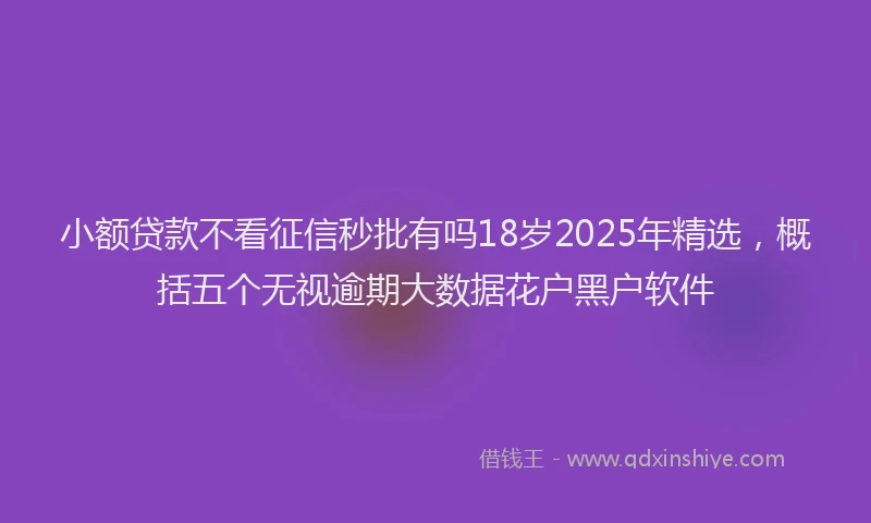 小额贷款不看征信秒批有吗18岁2025年精选，概括五个无视逾期大数据花户黑户软件