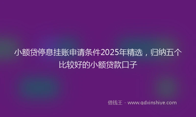 小额贷停息挂账申请条件2025年精选，归纳五个比较好的小额贷款口子