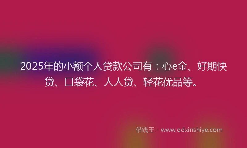 2025年的小额个人贷款公司有：心e金、好期快贷、口袋花、人人贷、轻花优品等。