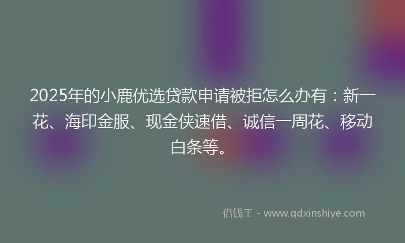 2025年的小鹿优选贷款申请被拒怎么办有：新一花、海印金服、现金侠速借、诚信一周花、移动白条等。