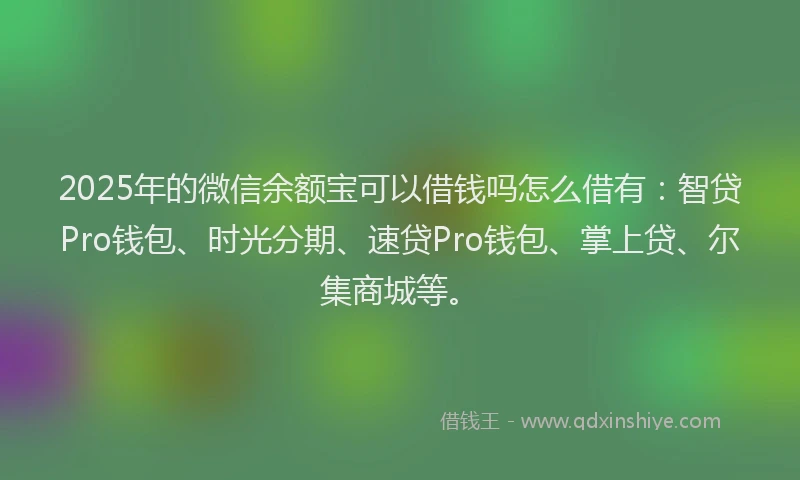 2025年的微信余额宝可以借钱吗怎么借有：智贷Pro钱包、时光分期、速贷Pro钱包、掌上贷、尔集商城等。