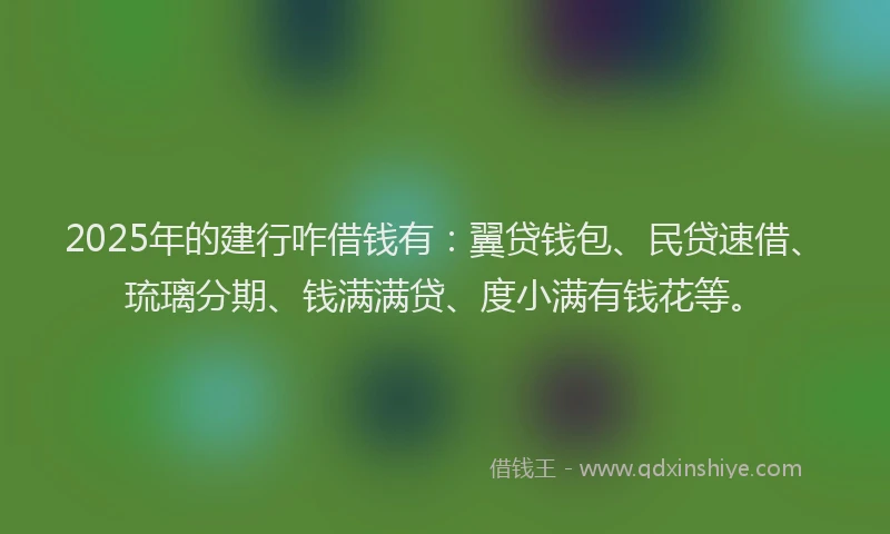 2025年的建行咋借钱有：翼贷钱包、民贷速借、琉璃分期、钱满满贷、度小满有钱花等。