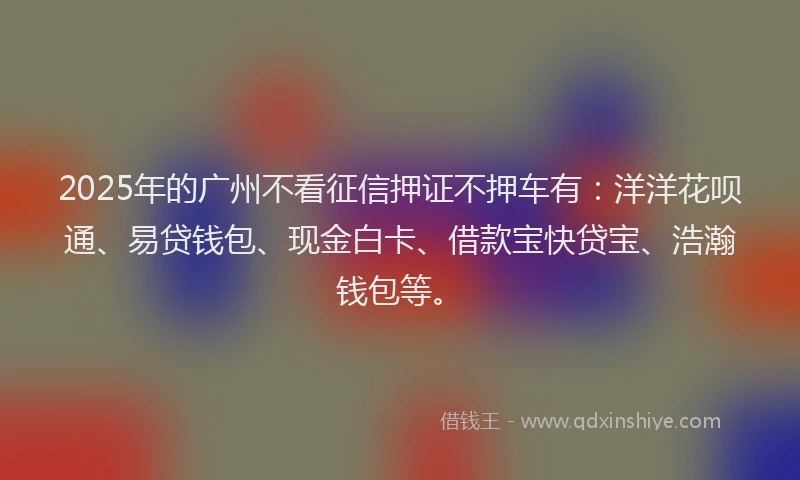 2025年的广州不看征信押证不押车有：洋洋花呗通、易贷钱包、现金白卡、借款宝快贷宝、浩瀚钱包等。